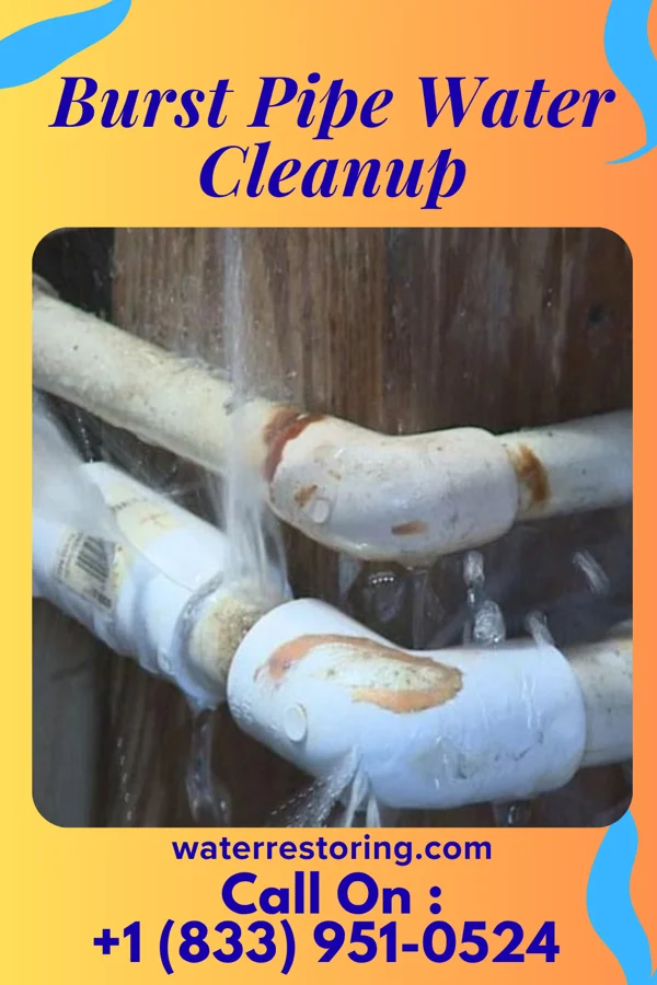 Burst Pipe Water Cleanup in Farmington, NM
