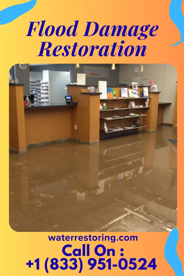 Flood Damage Restoration in Farmington, NM