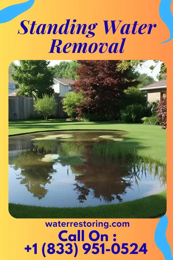 Standing Water Removal in Farmington, NM